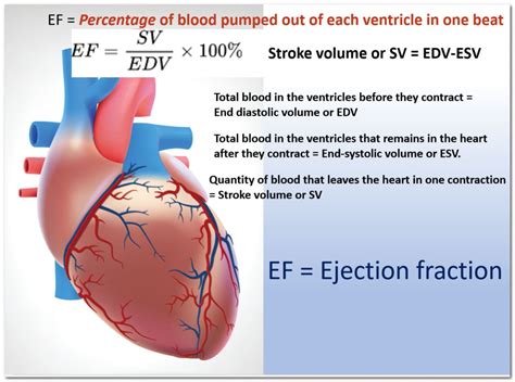 heart ejection fraction normal range